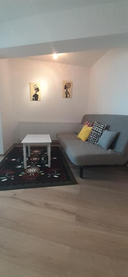 Apartament Central. Bloc Nou. Apartment Bacău Екстериор снимка